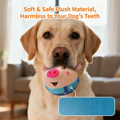 Rechargeable Interactive Dog Toy for Small, Medium & Large Dogs