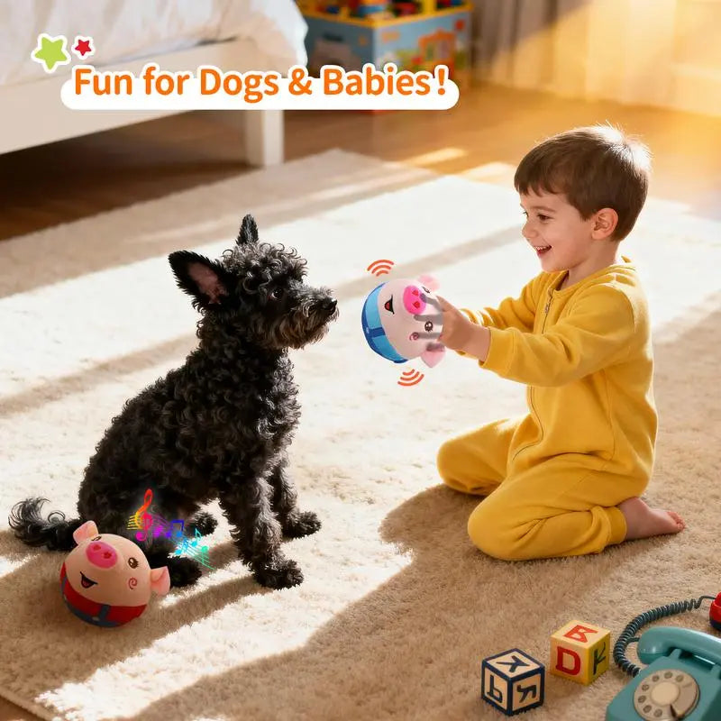 Rechargeable Interactive Dog Toy for Small, Medium & Large Dogs